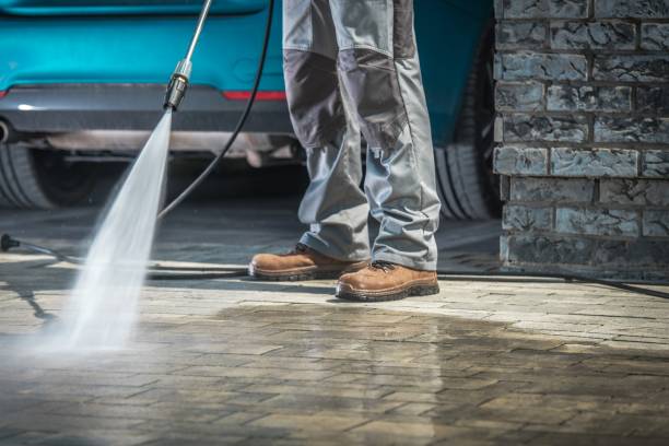 Best Sign and Awning Cleaning  in Bushnell, FL