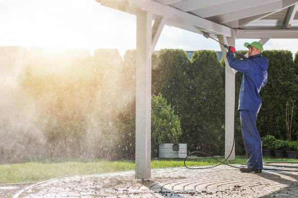 Best Residential House Exterior Washing  in Bushnell, FL