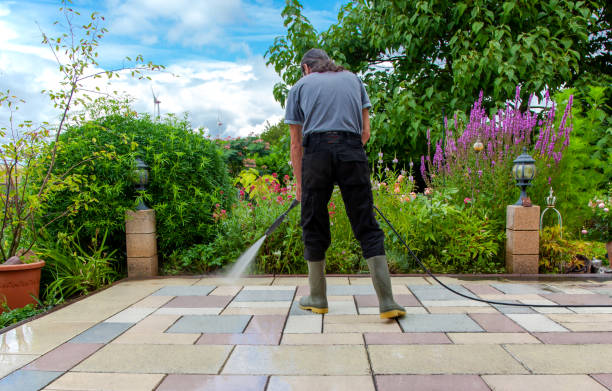 Best Driveway Pressure Washing  in Bushnell, FL